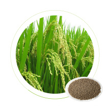 Dr Aid NPK 25-4-24 Agricultural Pitaya Plant Chemical Fertilizer